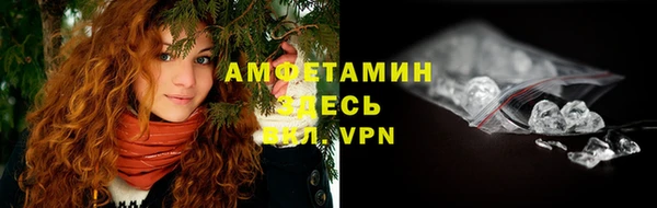 амф Верхний Тагил