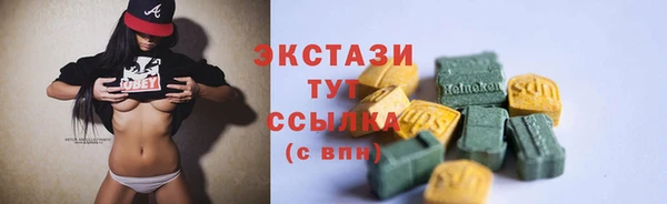 амф Верхний Тагил
