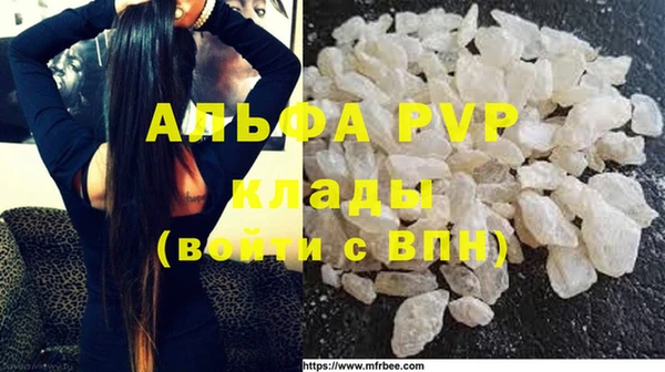 индика Горнозаводск